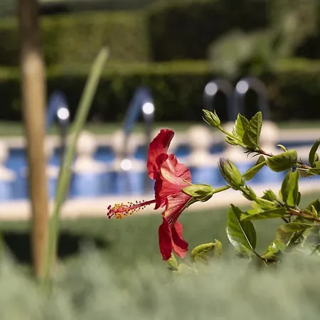 Isleta Marina Oasis Platja de Larenal
